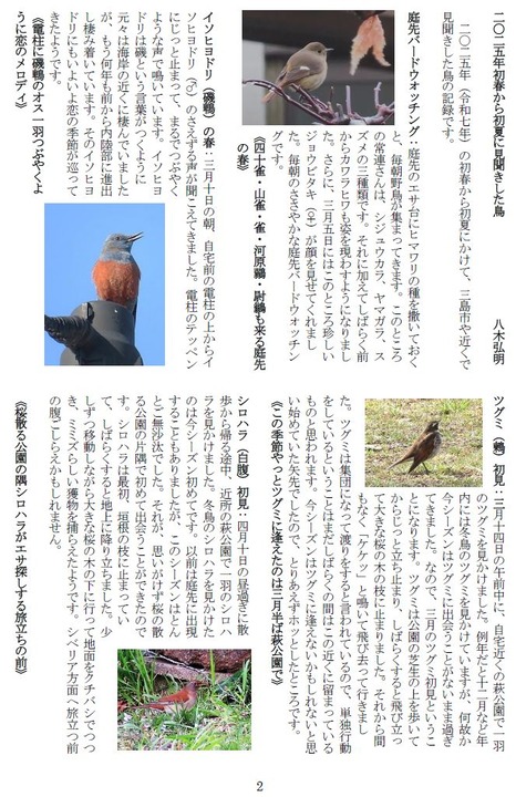 b250701やませみ164-2