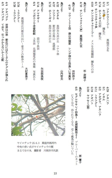 b250701やませみ164-13