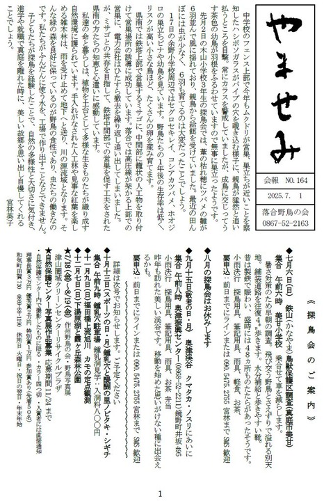 b250701やませみ164-1