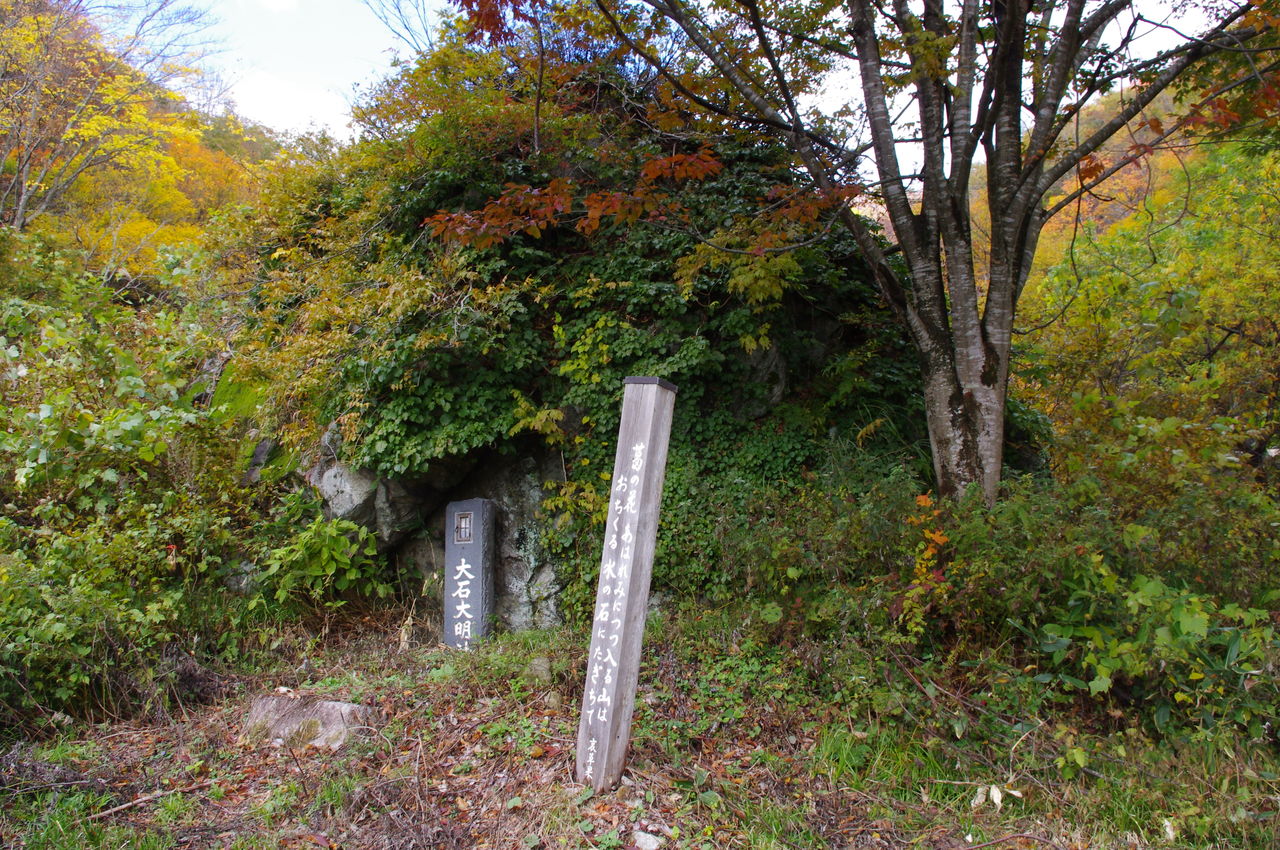 長井葉山 おけさ堀コース ザックを背負って雲上へ