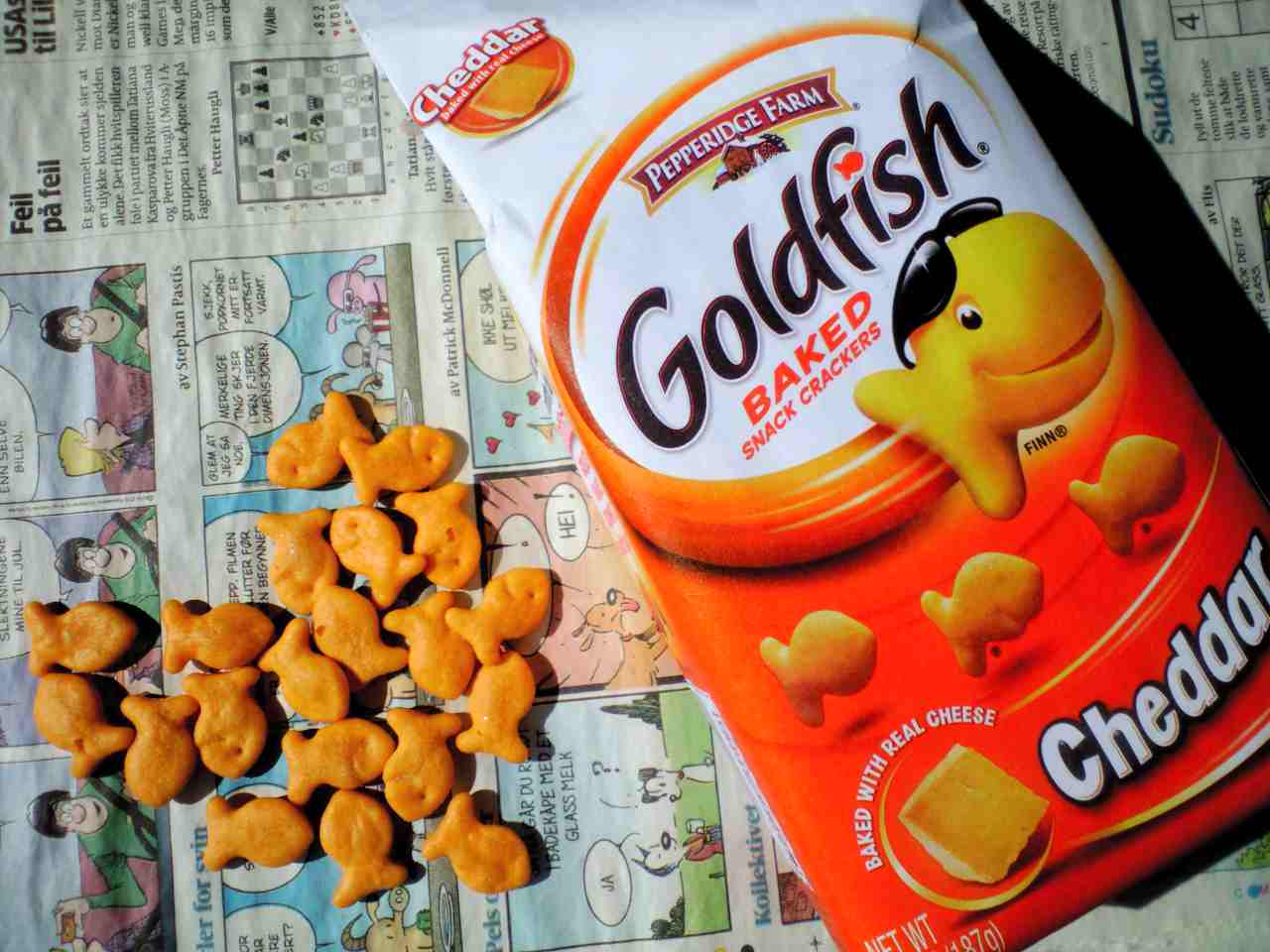 ライ麦のブルーベリー酵母パン * fish : じんせいをたのしむレシピ