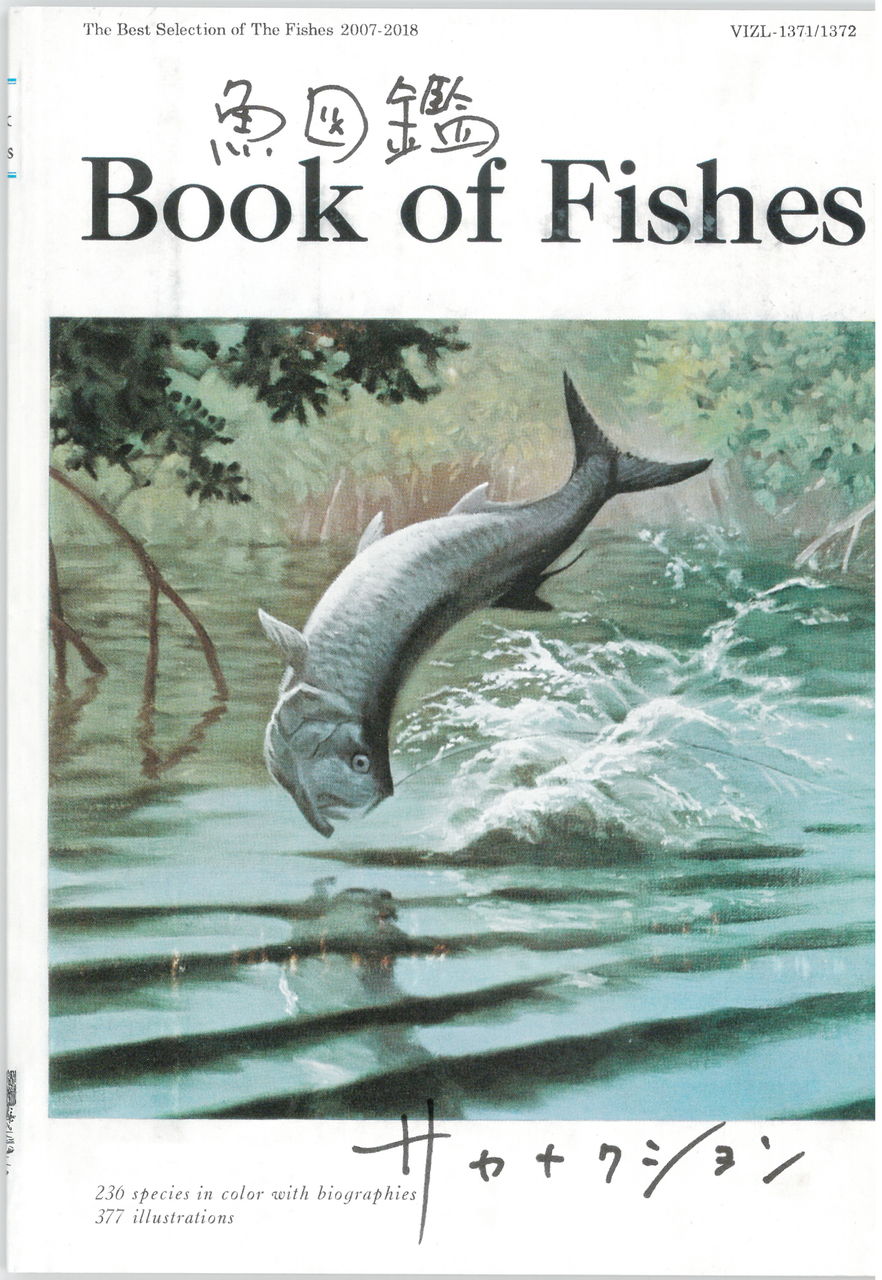 サカナクション 魚図鑑 アサヒ地所 のブログ