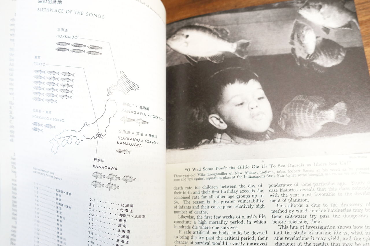 サカナクション 魚図鑑 アサヒ地所 のブログ