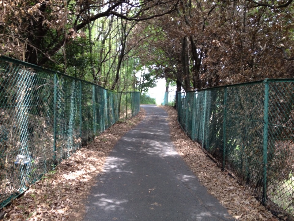 奈良県道164号室生口大野停車場線