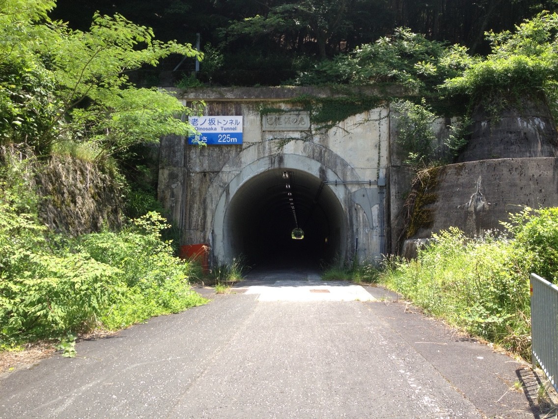 国道9号旧道 老の坂隧道 スタレモノ 国道9号旧道 老の坂隧道 スタレモノ
