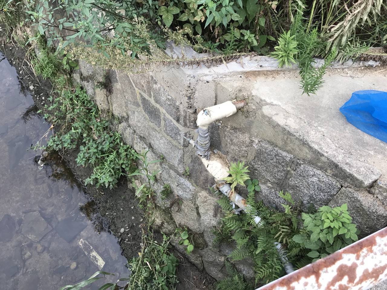 天理市 青石橋 スタレモノ