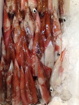 954f583d.jpg