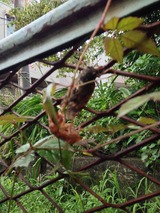 c9433f10.jpg