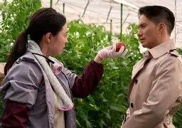 正直不動産吹石
