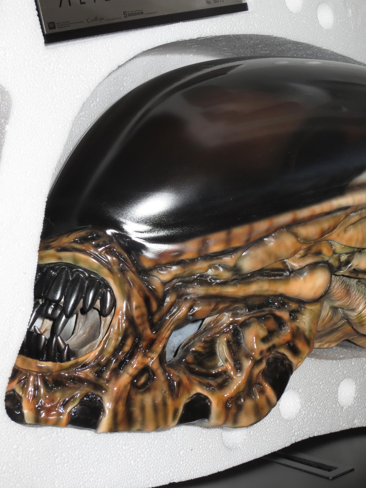CoolProps】ALIEN3/ DOG ALIEN LIFE-SIZE HEAD : オトナのオモチャ