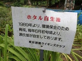 雨に降られた清瀬金山緑地公園見学 でも楽しく収穫あり 市民でつくろう 朝霞基地跡地公園