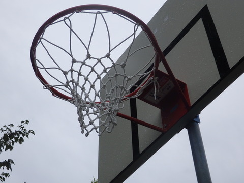朝霞の森バスケットゴールを更新 新しくなったゴール大切に使ってね 市民でつくろう 朝霞基地跡地公園