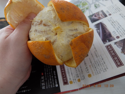DSCF9373