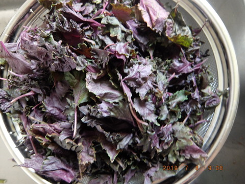 DSCF0033