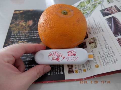 DSCF9367