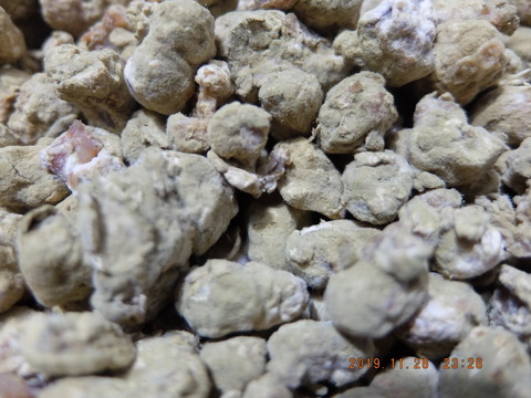 DSCF2236