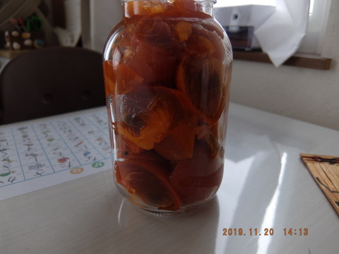 DSCF2169