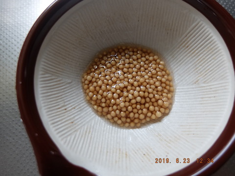 DSCF1447