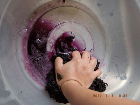 DSCF0042