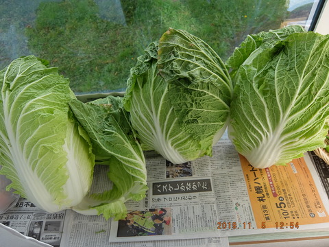 DSCF2048