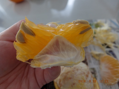 DSCF9379