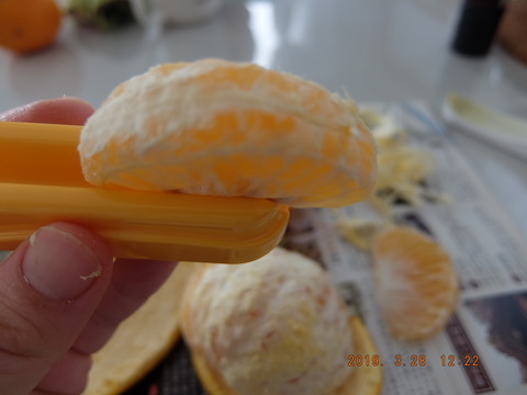 DSCF9377