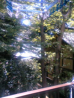 bb239725.jpg