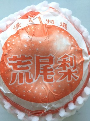 c377d512.jpg
