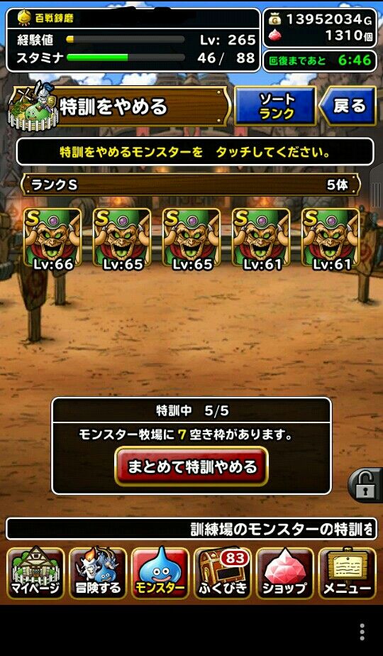 Dqmsl 訓練所 Dqmsl 訓練所