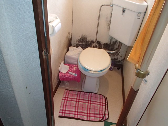アパートのトイレのカビ対策 奥沢 アサクラハウス 快適エクステリア