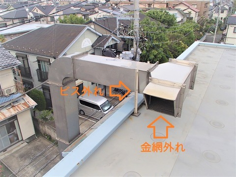 P5030039 (2)