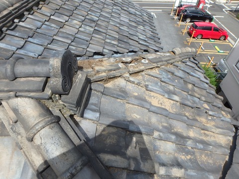 P9090062 - コピー