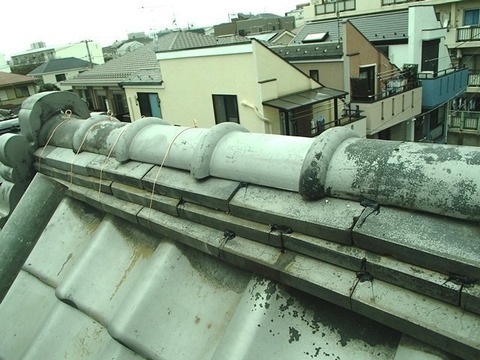 P2120047-thumbnail2