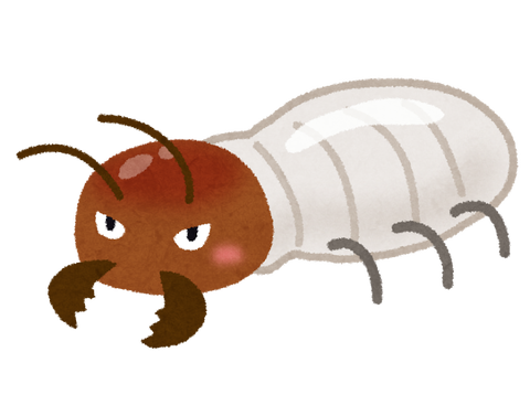 あり4