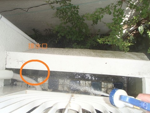 P4220060