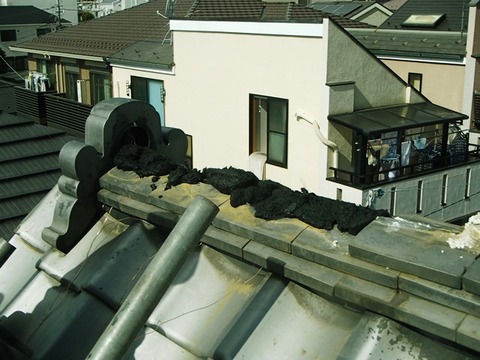 P2120025