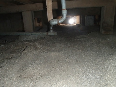 P4220043