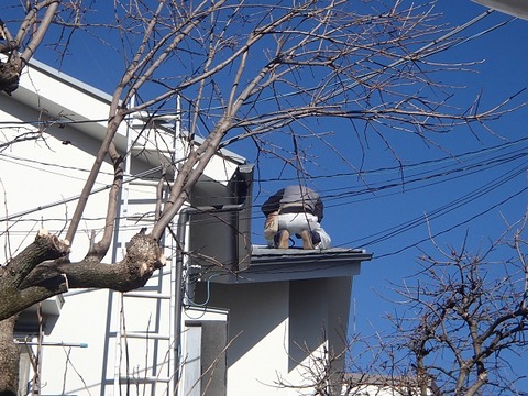 P1310078