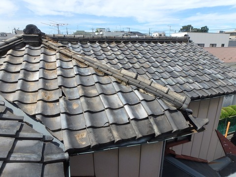 P9090065 - コピー