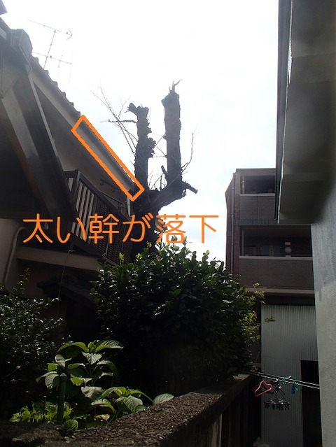 ｋ001