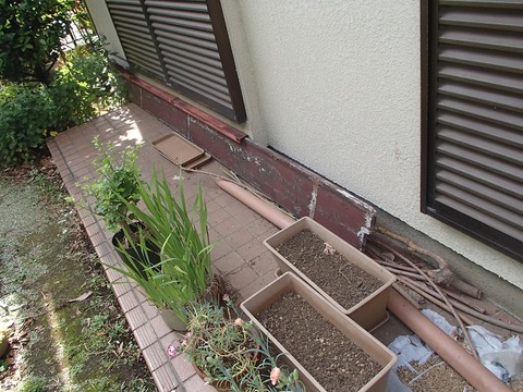 P6020070
