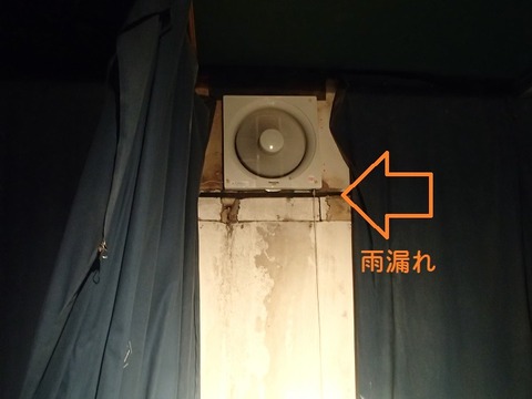 P5030012