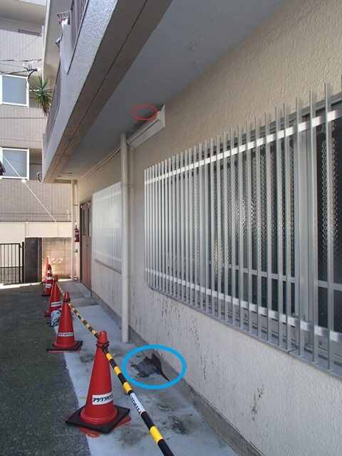 P7020017