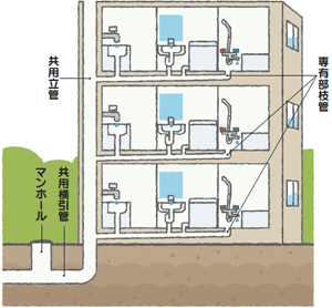 水4
