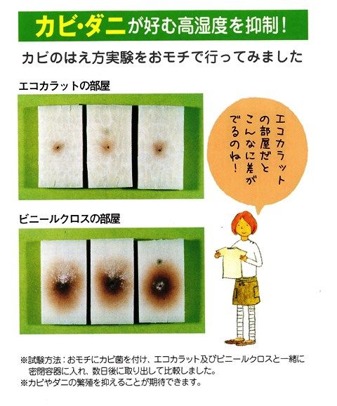 ECC14 - (4)