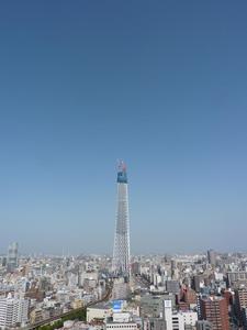 P1130097
