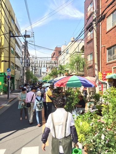 東京 浅草で恒例の 植木市 が開催されました 浅草のグルメ 観光情報を発信