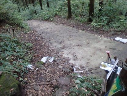 ２６　登山道から林道へ