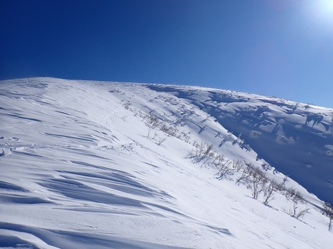 １０５　コウクルミ沢源頭部もまだ枝が出てる