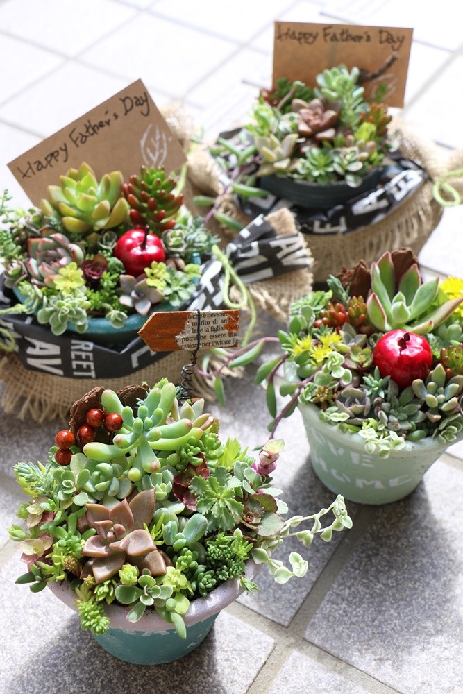 ☆多肉植物 寄せ植え〜手作り木製プランター ビーチ寄せ〜☆